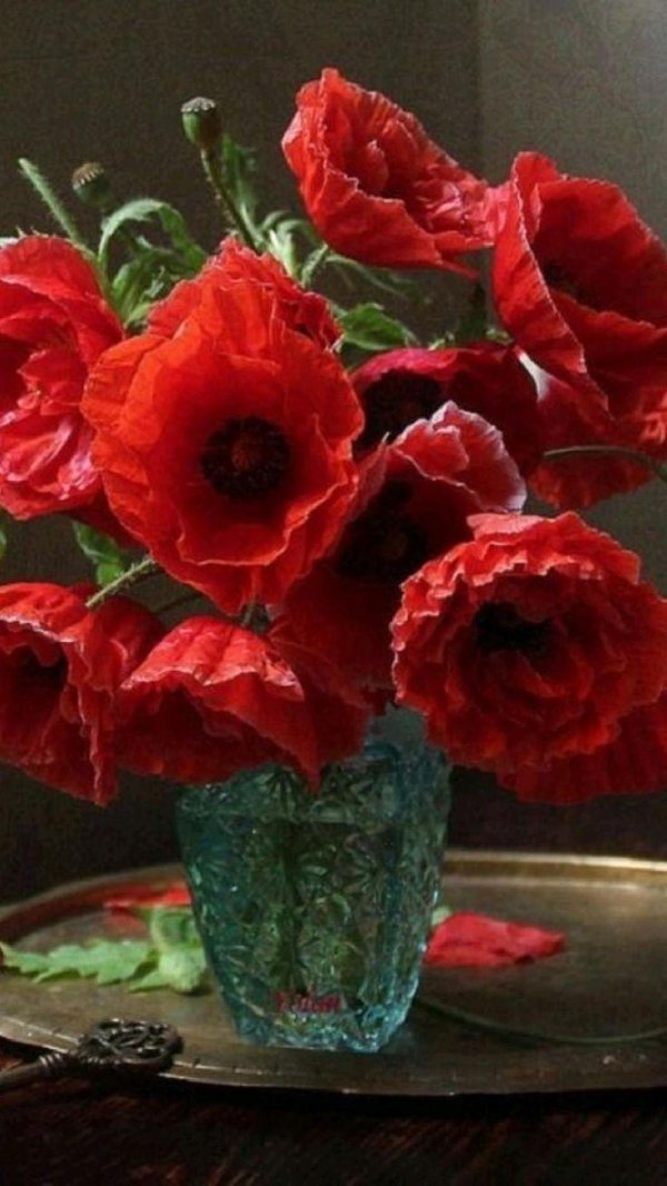 марина филатова пионы фотонатюрморты