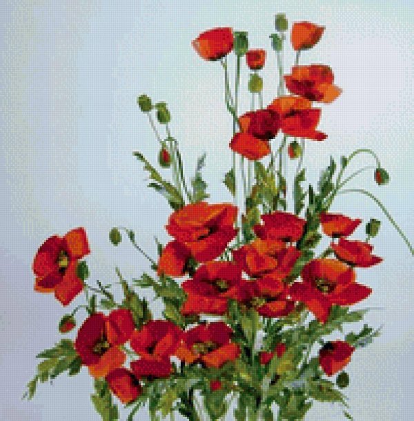 людмила скрипченко букет маков