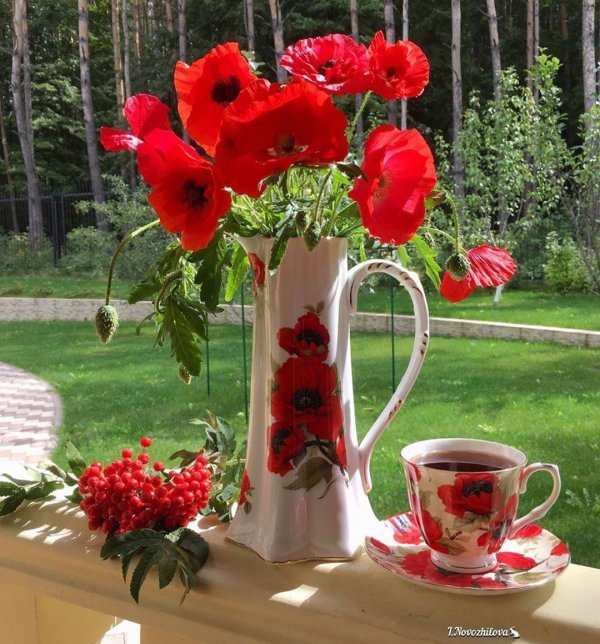 пожелания с добрым летним утром