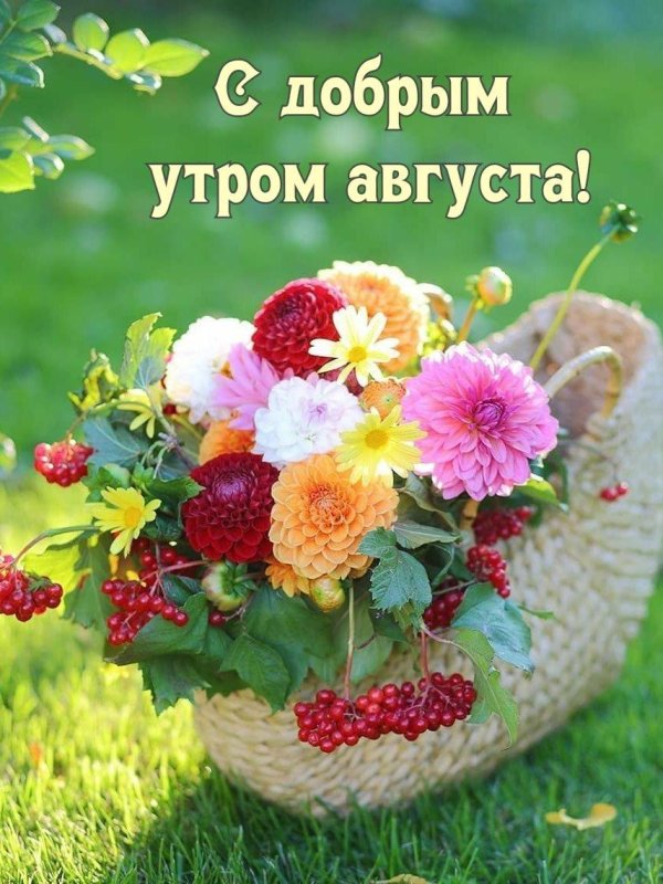 доброго утра август