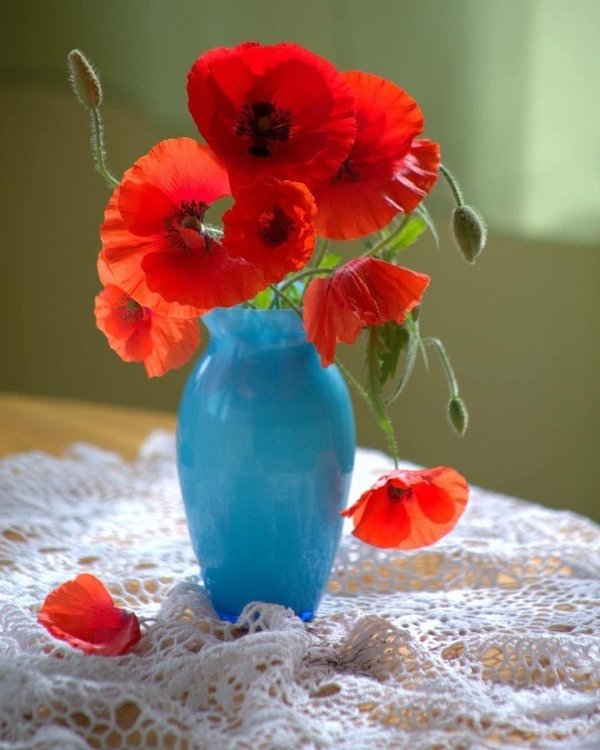 добрые пожелания