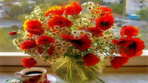 букет маков