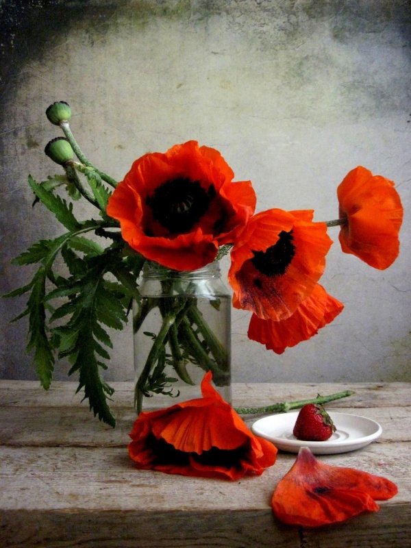 букет маков