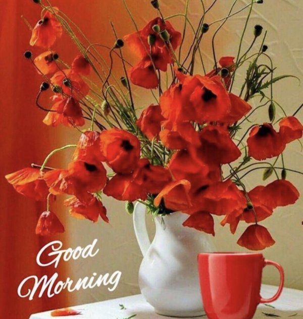 маки натюрморт