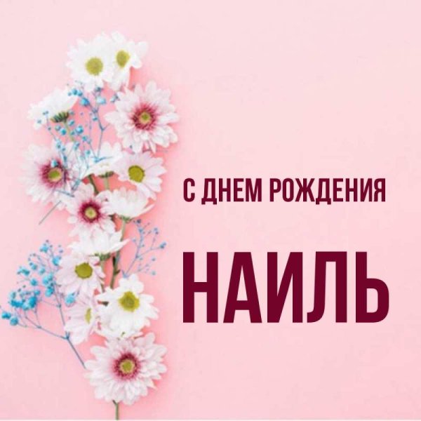 с днём рождения жанна открытки