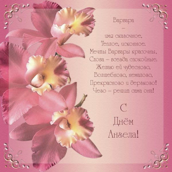 орхидея на темном фоне