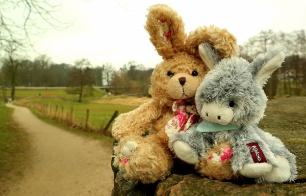 плюшевые зайцы