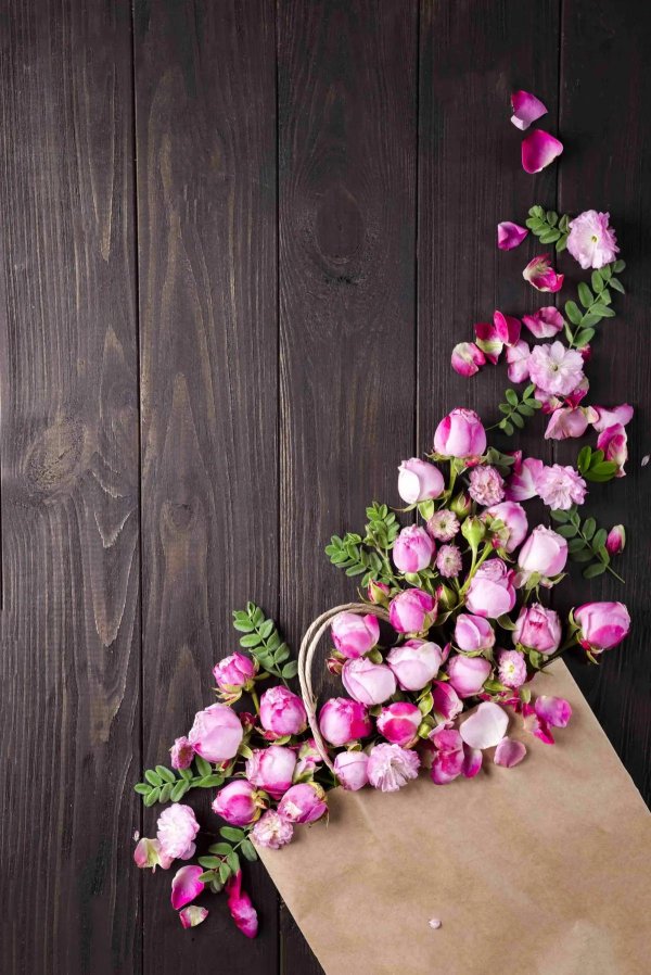 красивый фотофон