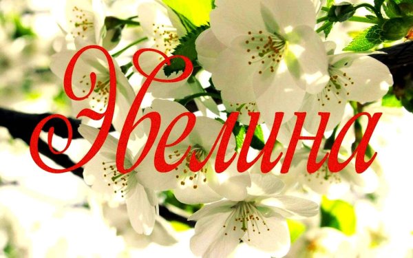имя эвелина