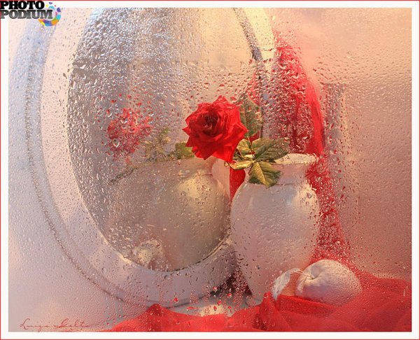 луиза гельтс