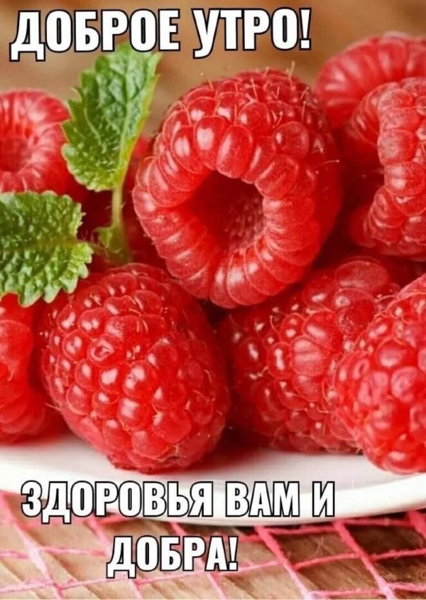 ягода малина