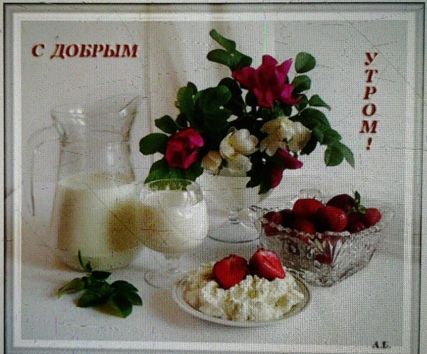 с добрым утром красивая открытка