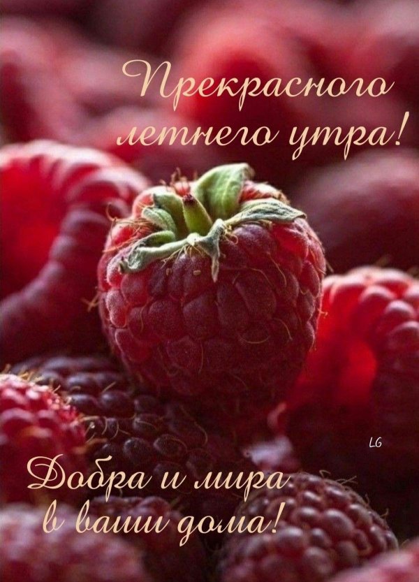 ягода малина