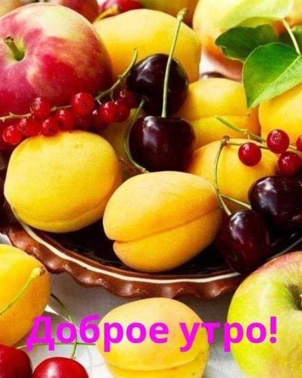 свежие фрукты