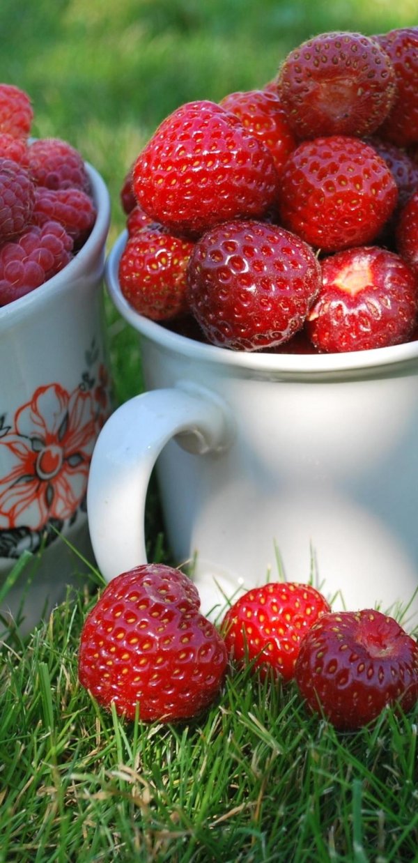 Доброе утро с фруктами с надписями