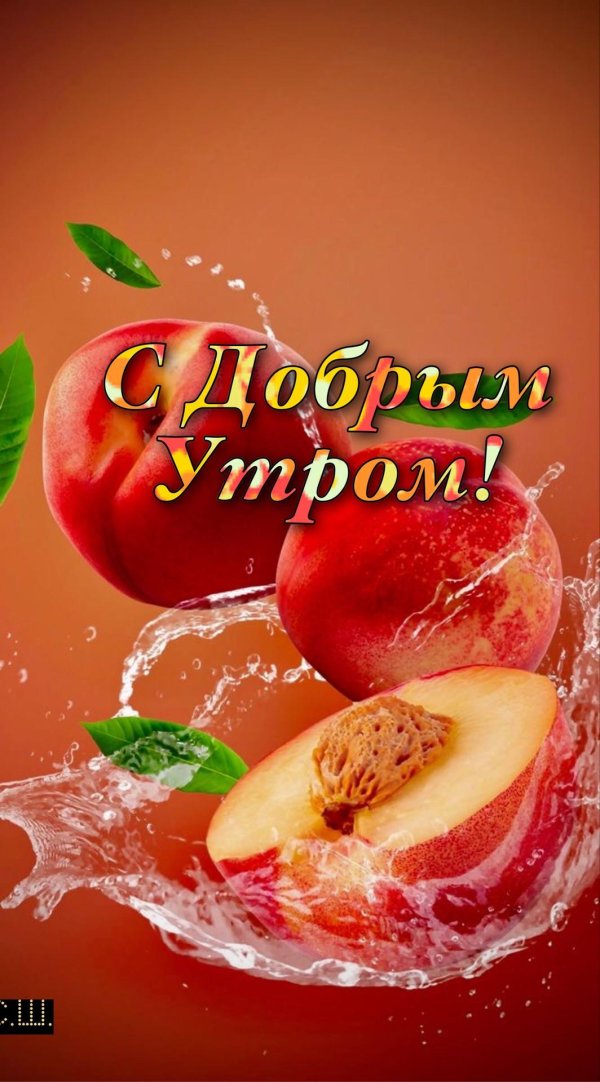 красивые персики