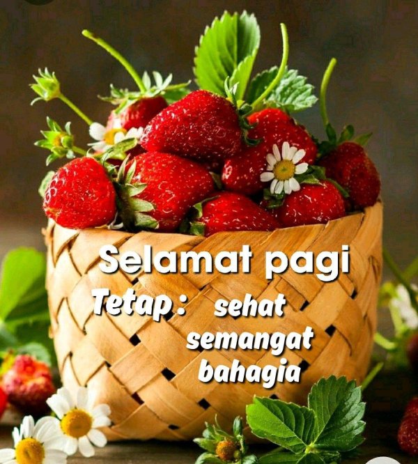 selamat pagi