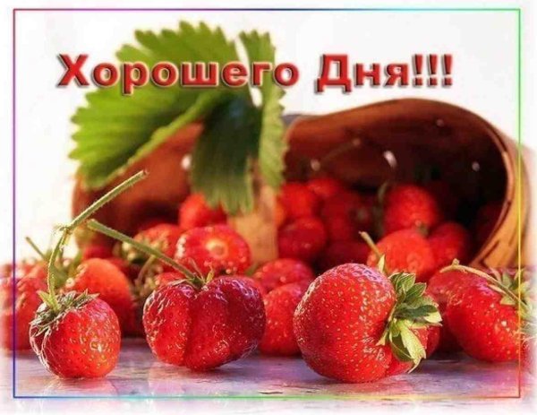 с хорошим летним днем