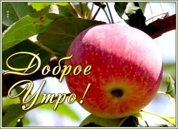 доброе августовское утречко