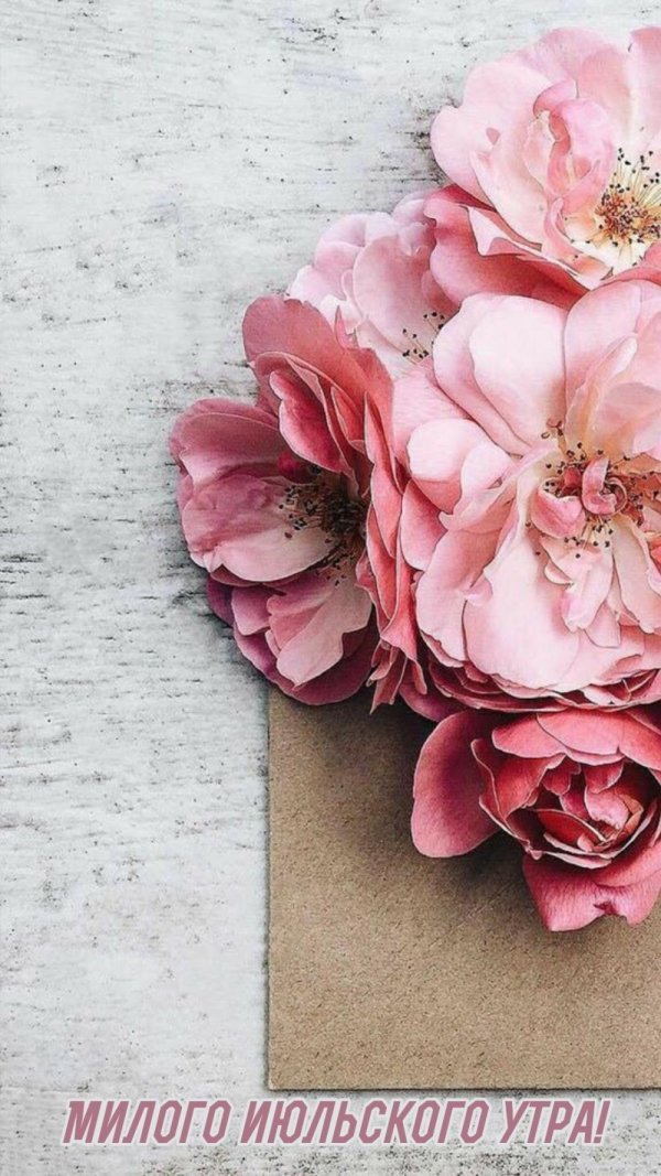 пионы пинтереста