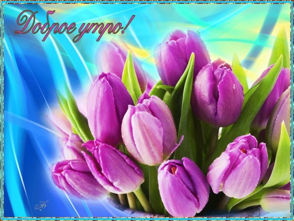 весенние открытки с добрым утром