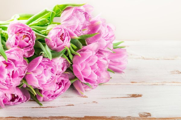 пионистые тюльпаны