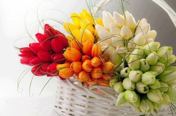 искусственные цветы тюльпан