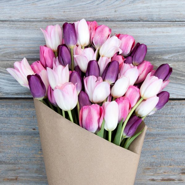 букет тюльпан