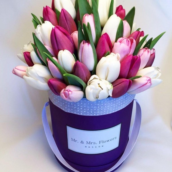 тюльпаны в коробках