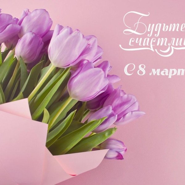 сиреневые тюльпаны