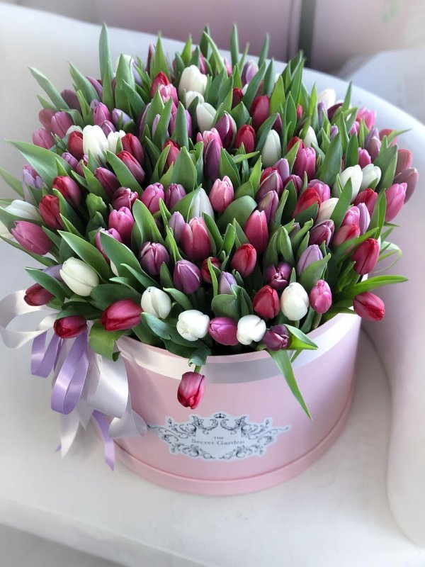 тюльпаны в коробках