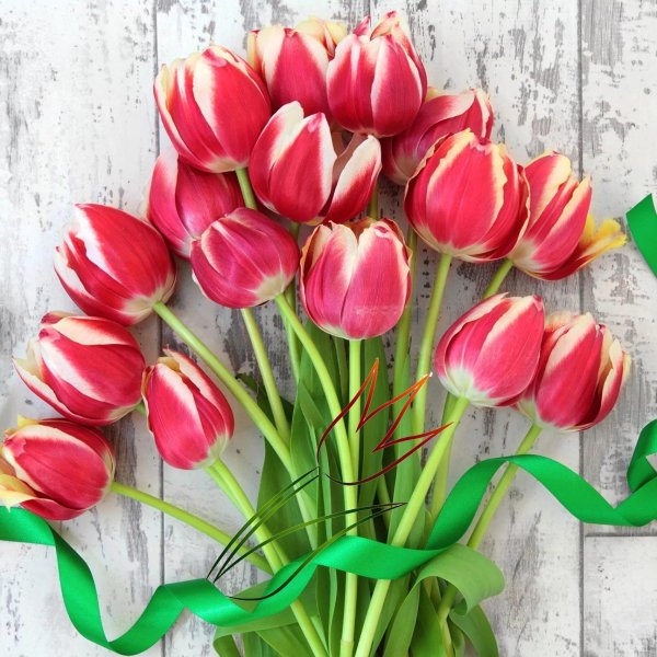 объемные тюльпаны