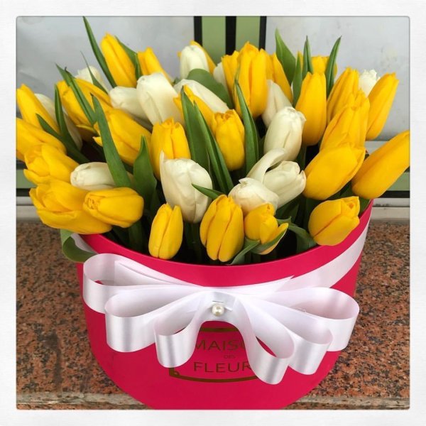 тюльпаны в коробках