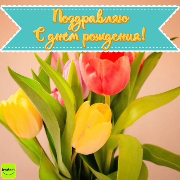 открытка с днём рождения с тюльпанами женщине