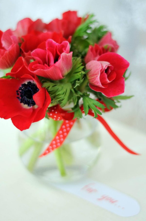 красные анемоны букет