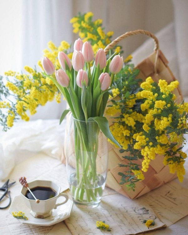 добрейшего весеннего утра