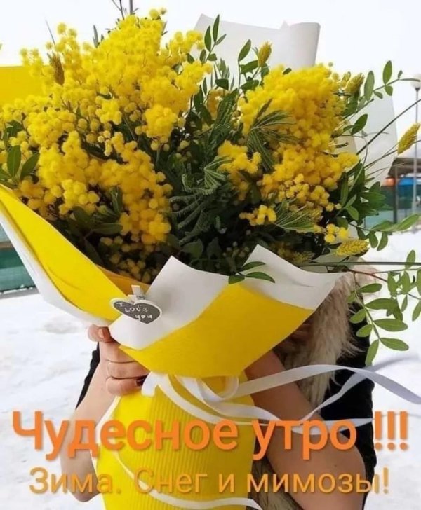 букетик мимозы