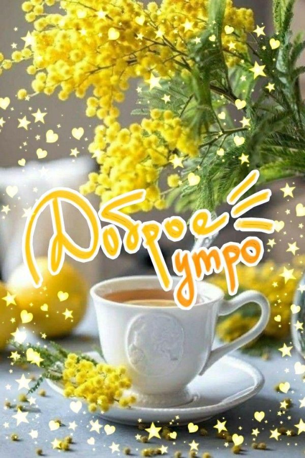 открытка с добрым утром красивая весенняя