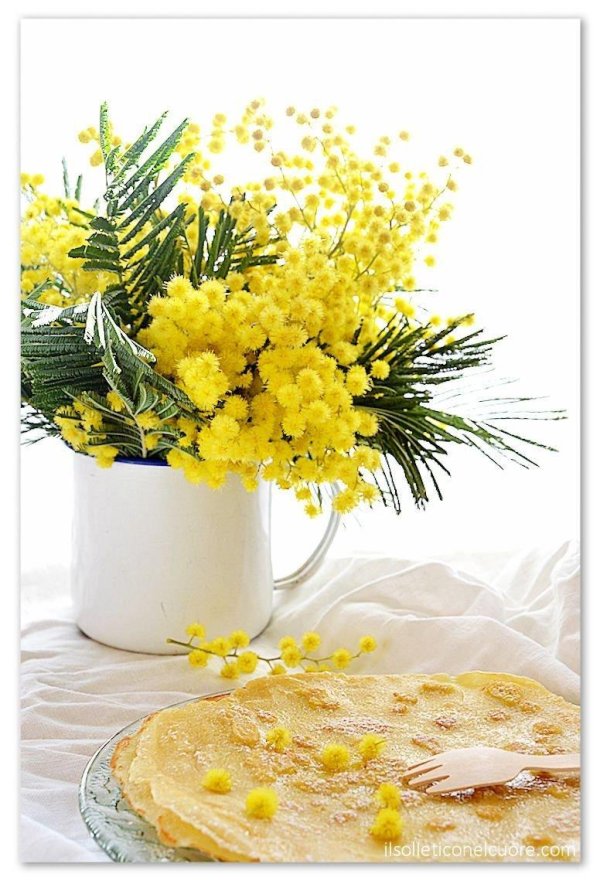 мимозы ветка мимозы