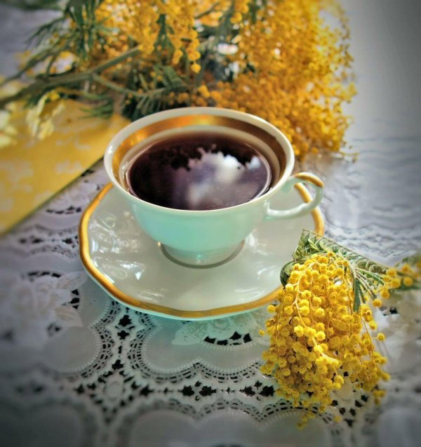 чай с мимозой