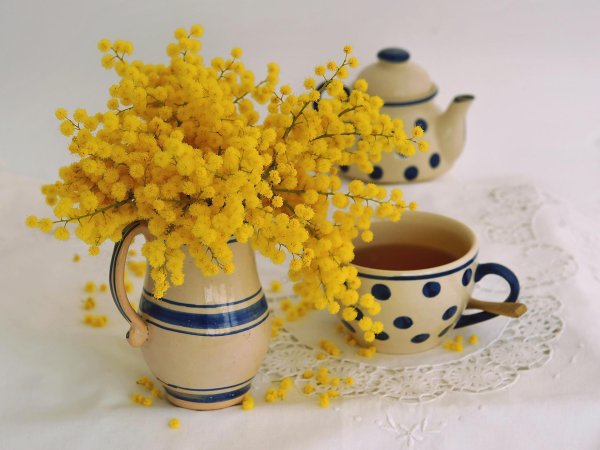 доброе утро с мимозами