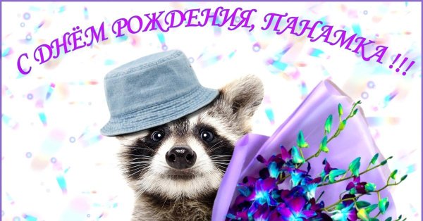 енот поздравляет с днем рождения