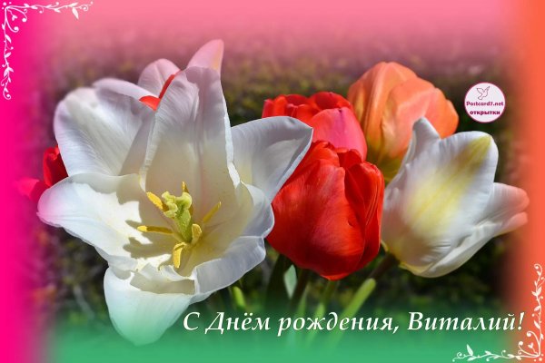 с днем рождения виталик открытка