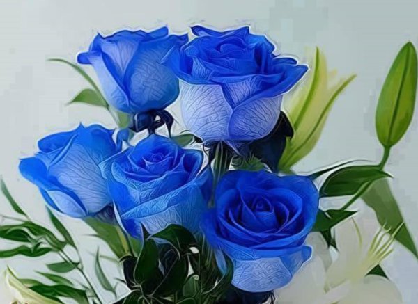 роза венделла синяя