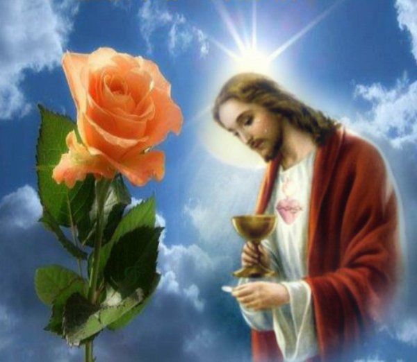 sagrado coração de jesus