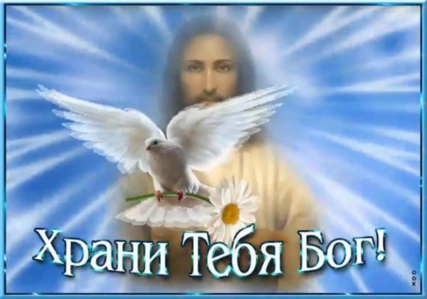 Храни вас бог с цветами