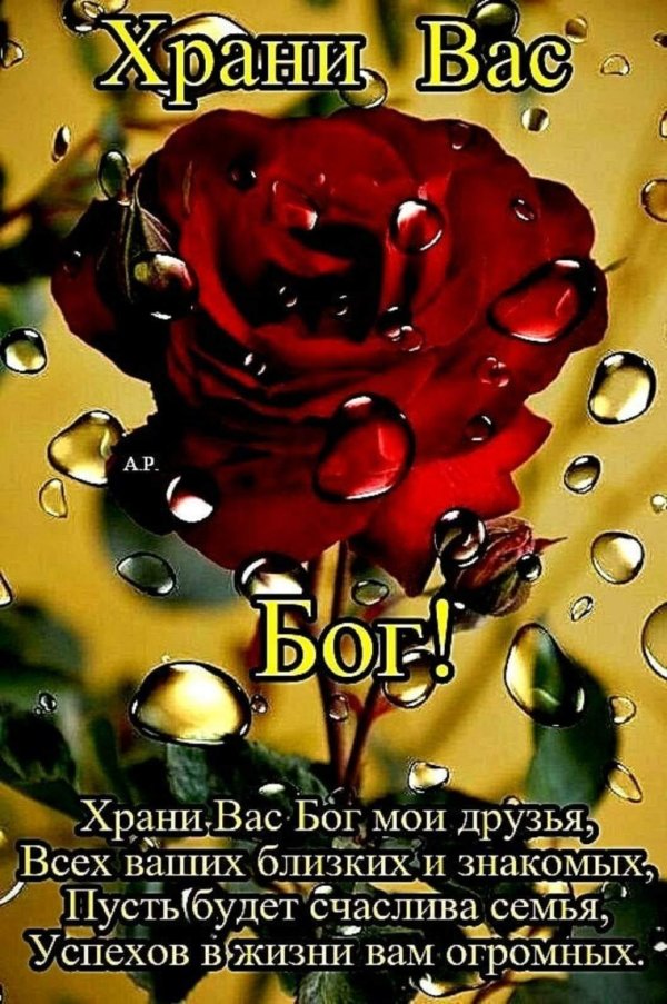 храни вас бог