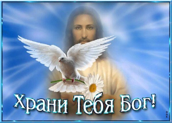 храни бог