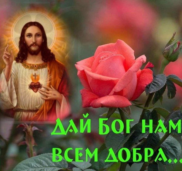 храни нас бог