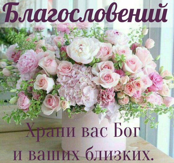 нежные букеты цветов